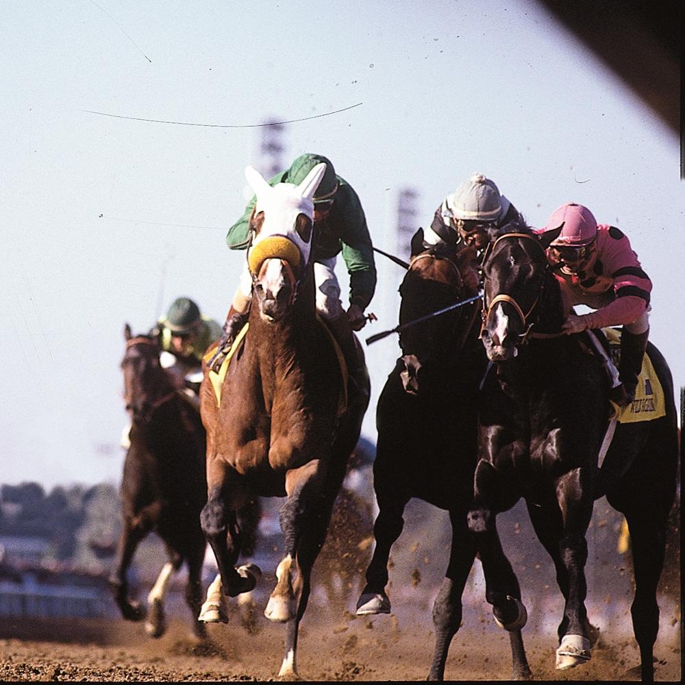 Pat Day, Hall of Fame, Jockey, Breeders' Cup Classic, Wild Again, Unbridled, Awesome Again, Cat Thief, horse racing, America's Best Racing, ABR