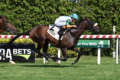 Cugino, Fourstardave, Saratoga Race Course, Breeders' Cup Mile, America's Best Racing, horse racing, ABR Cugino, Fourstardave, Saratoga Race Course, Breeders' Cup Mile, America's Best Racing, horse racing, ABR