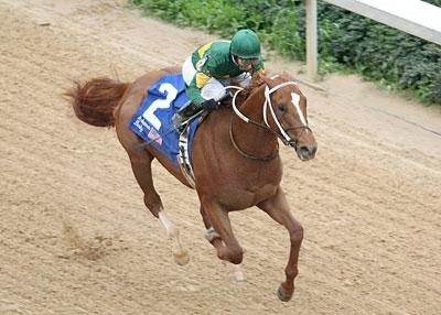 Curlin, Arkansas Derby, Oaklawn Park, America's Best Racing, Triple Crown, Kentucky Derby, horse racing, ABR Curlin, Arkansas Derby, Oaklawn Park, America's Best Racing, Triple Crown, Kentucky Derby, horse racing, ABR