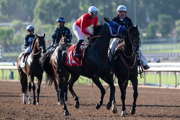 Santa Anita Park, America's Best Racing, horse racing, ABR