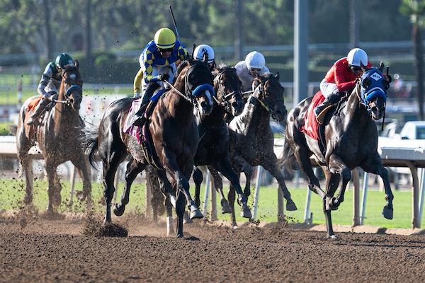 Santa Anita Park, America's Best Racing, horse racing, ABR