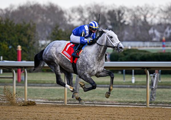 Brad Cox, Muhimma, Demoiselle, Kentucky Oaks, Aqueduct, Eclipse Sportswire