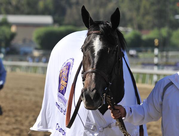 Mizdirection, Jim Rome, Mike Puype, Breeders' Cup Turf Sprint, Santa Anita Park, America's Best Racing, horse racing, ABR