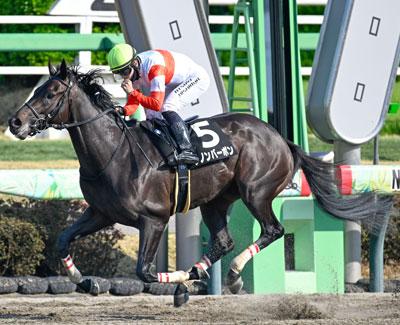 Danon Bourbon, Triple Crown, Kentucky Derby, Churchill Downs, horse racing, America's Best Racing, ABR