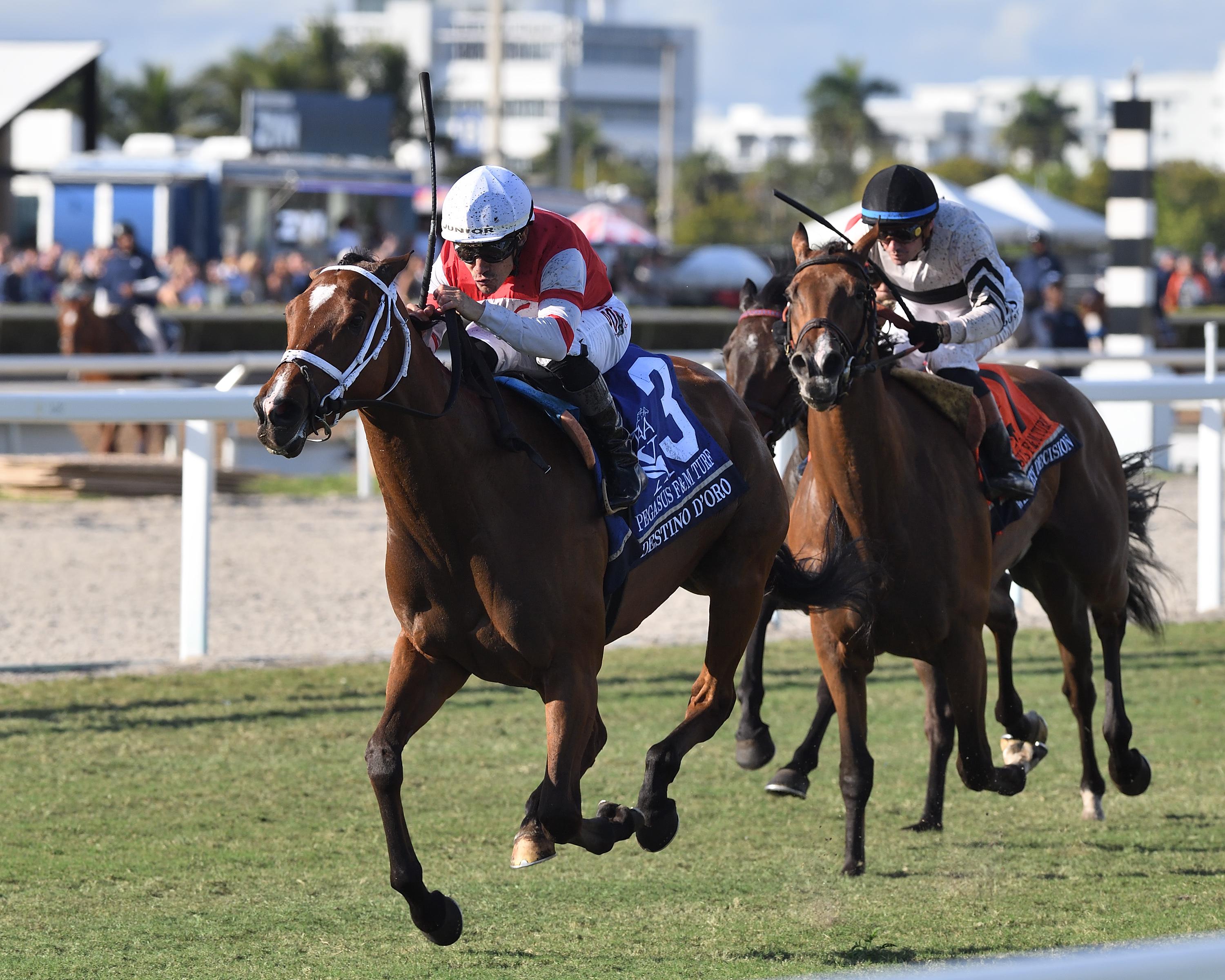 Skippylongstocking Wins Pegasus World Cup, Test Score Tops Undercard on ...