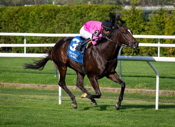Deterministic, Fourstardave, Saratoga Race Course, Breeders' Cup Mile, America's Best Racing, horse racing, ABR