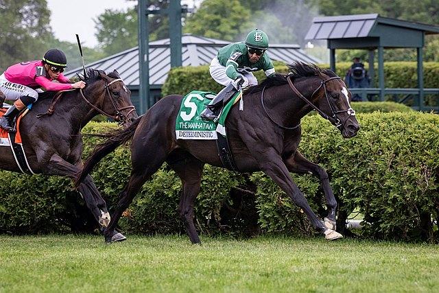 Deterministic, Fourstardave Stakes, Saratoga Race Course, Breeders' Cup Classic, horse racing, America's Best Racing, ABR Deterministic, Fourstardave Stakes, Saratoga Race Course, Breeders' Cup Classic, horse racing, America's Best Racing, ABR