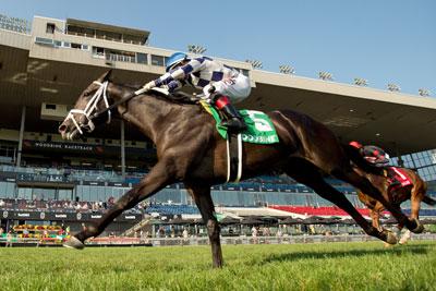 Dewolf, King's Plate, Woodbine, America's Best Racing, horse racing, ABR