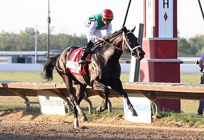 Disco Time, St. Louis Derby, America's Best Racing, horse racing, ABR