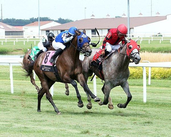 Don Ique, King's Plate, Canadian Triple Crown, Woodbine, horse racing, America's Best Racing, ABR Don Ique, King's Plate, Canadian Triple Crown, Woodbine, horse racing, America's Best Racing, ABR