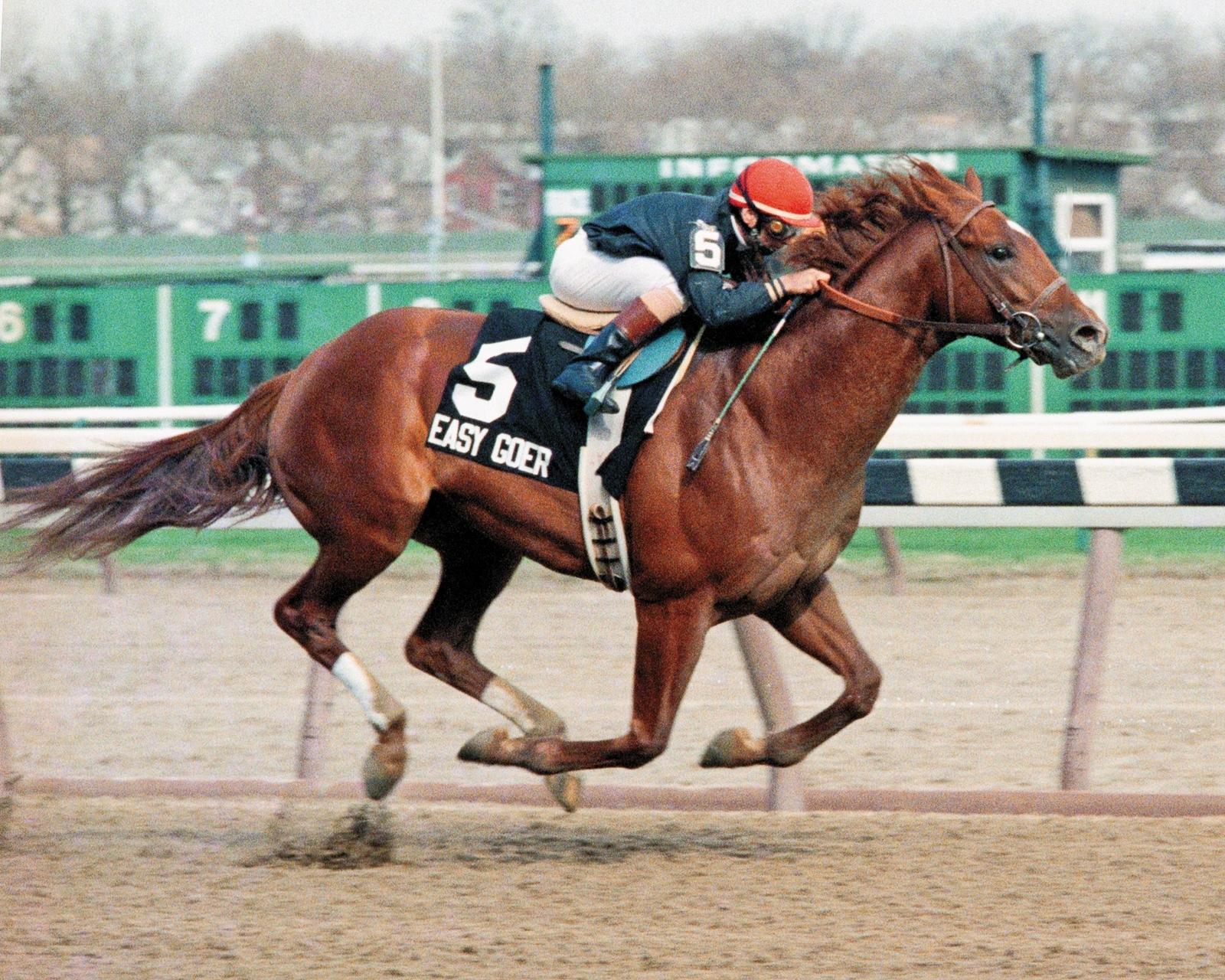 Easy Goer, Gotham, Aqueduct, America's Best Racing, ABR, horse racing