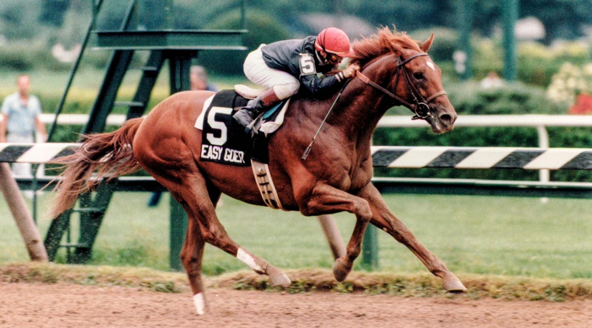 Easy Goer, America's Best Racing, Triple Crown, Kentucky Derby, horse racing, ABR Easy Goer, America's Best Racing, Triple Crown, Kentucky Derby, horse racing, ABR