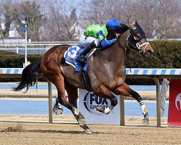 Full Moon Madness, De Francis Dash, Laurel Park, horse racing, America's Best Racing, ABR