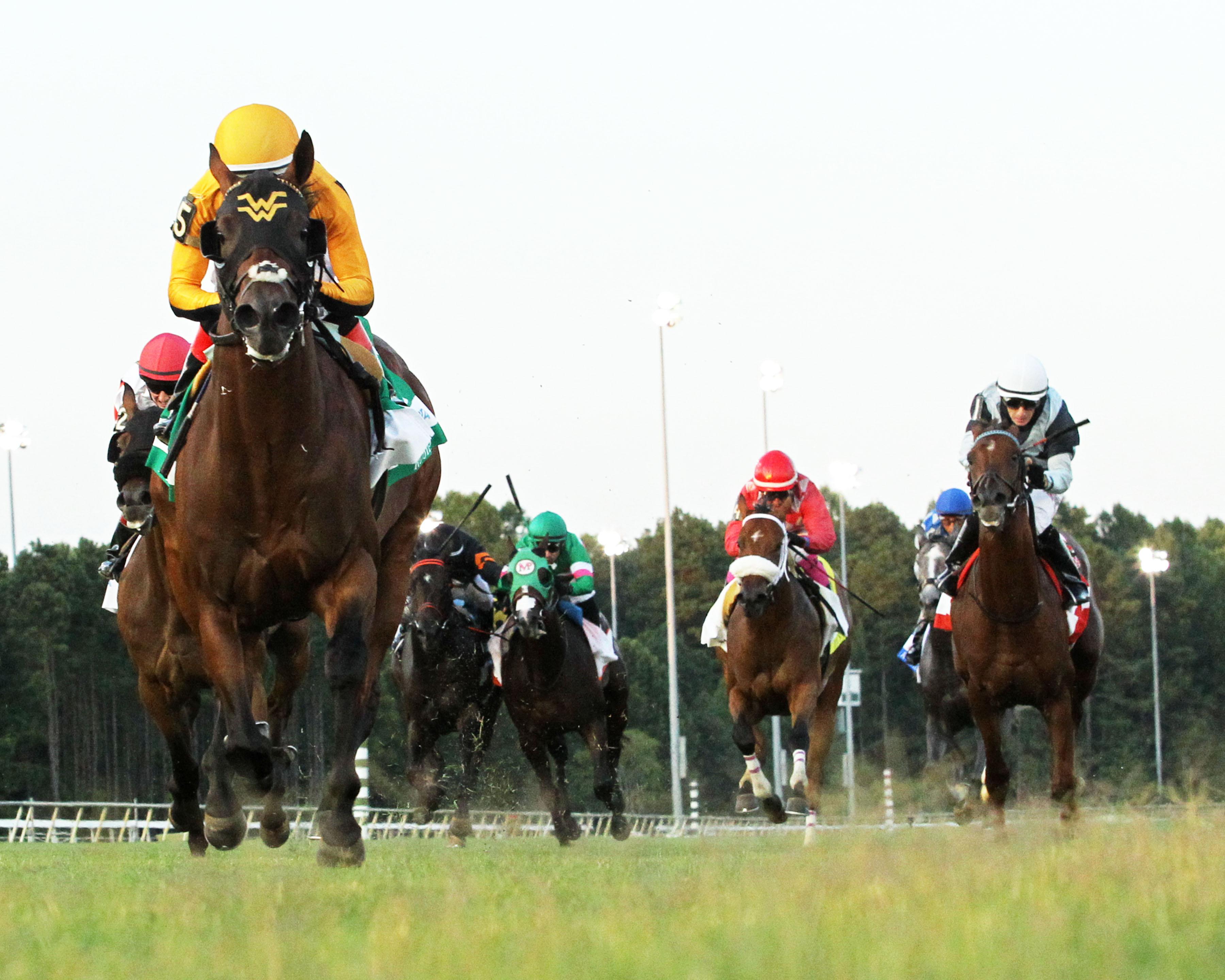 What Makes Summer Racing Special? | America's Best Racing
