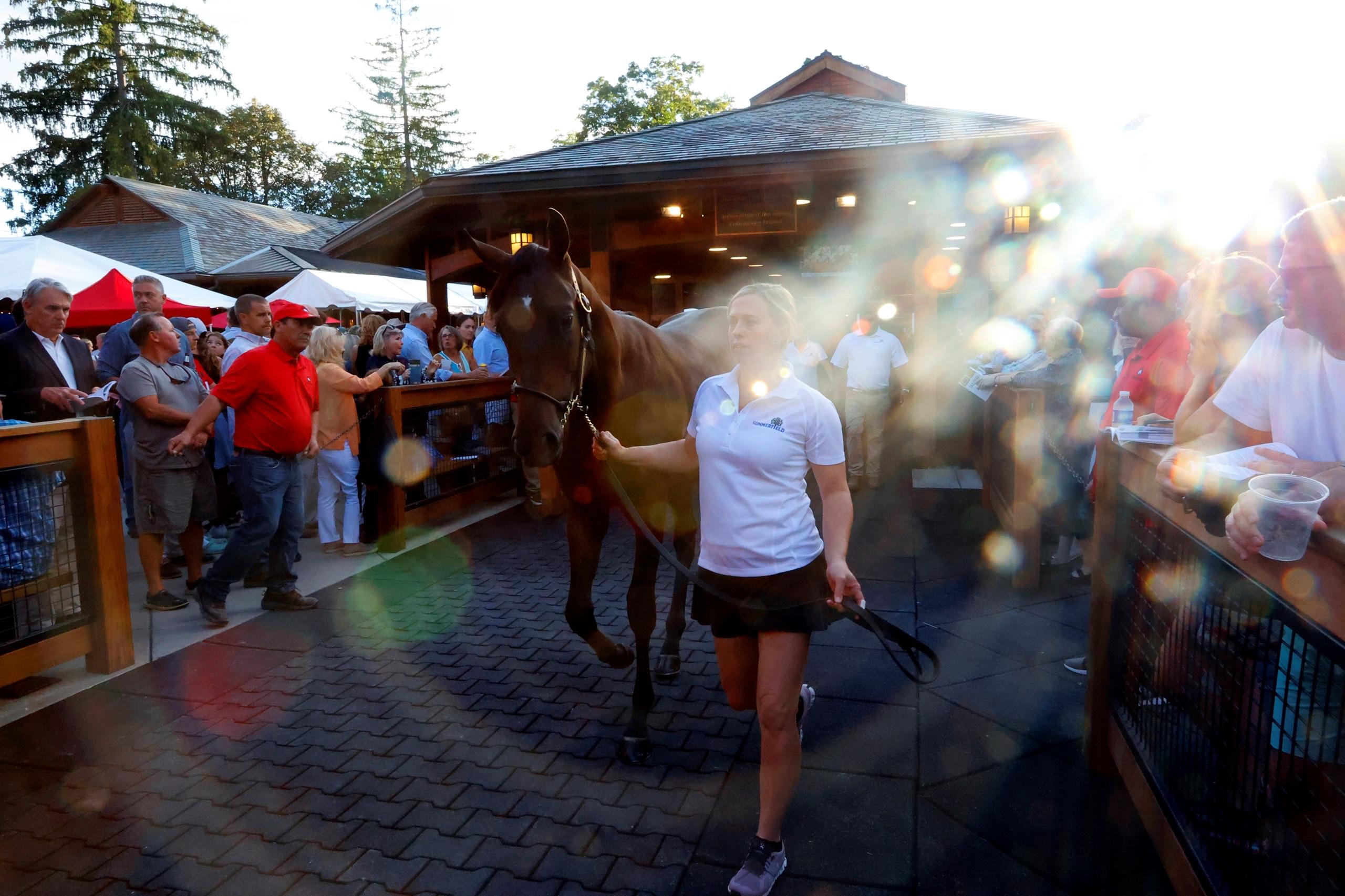 Fasig-Tipton Saratoga Sale, Barnes, America's Best Racing, ABR, horse racing, Triple Crown, Breeders' Cup Fasig-Tipton Saratoga Sale, Barnes, America's Best Racing, ABR, horse racing, Triple Crown, Breeders' Cup