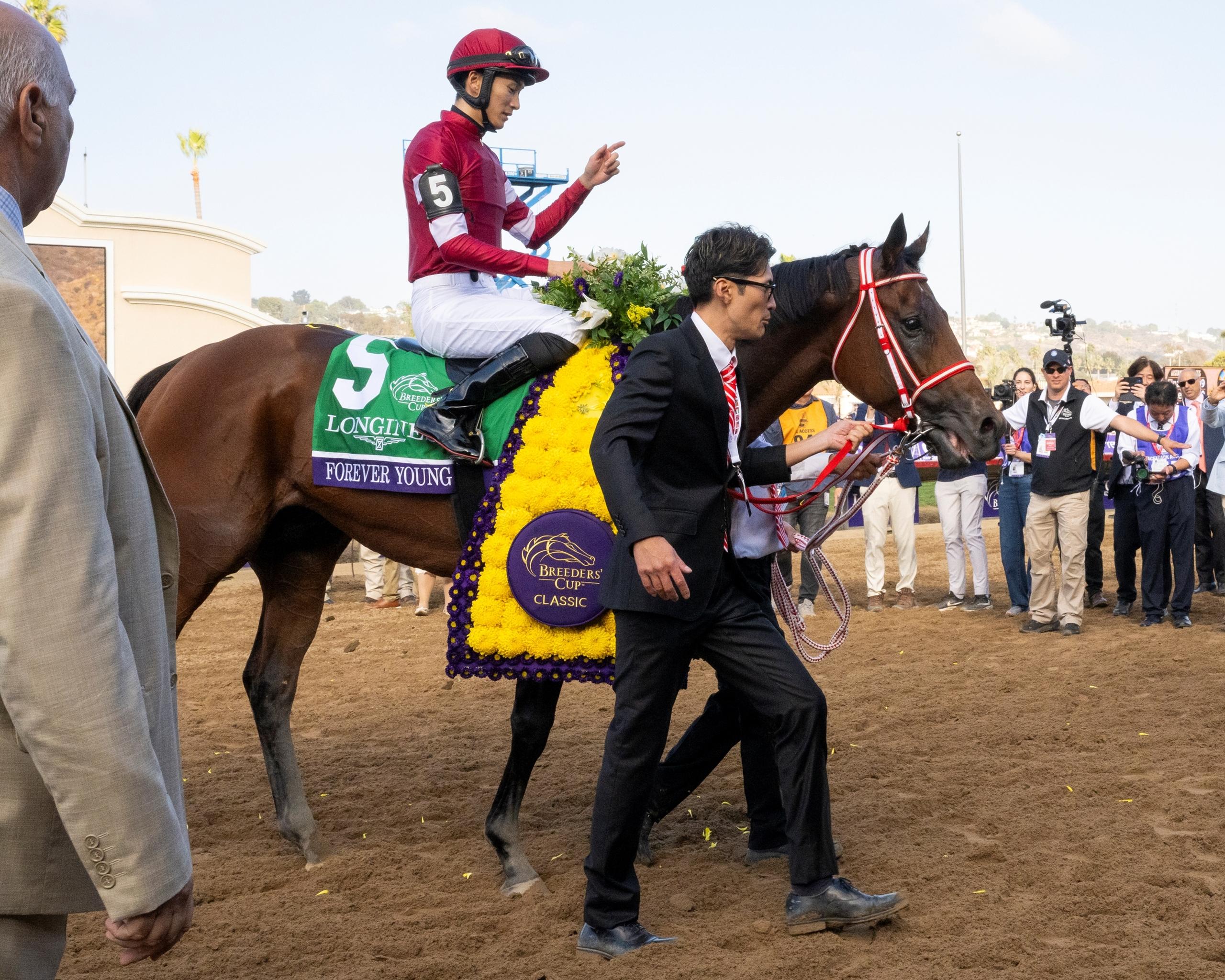 Forever Young, Jockey Club Gold Cup, Belmont Park, horse racing, America's Best Racing, ABR Forever Young, Jockey Club Gold Cup, Belmont Park, horse racing, America's Best Racing, ABR