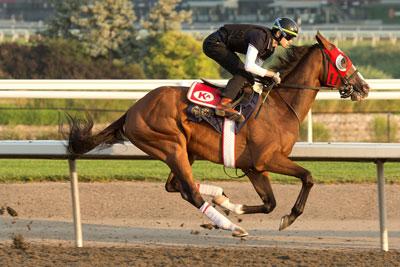 Faber, King's Plate, Woodbine, America's Best Racing, horse racing, ABR