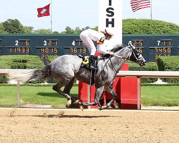 Faust, De Francis Dash, Laurel Park, horse racing, America's Best Racing, ABR