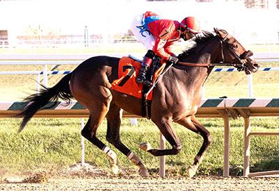 Feeling Woozy, Laurel Park, Maryland Million Classic, Jim McKay, America's Best Racing, horse racing, ABR
