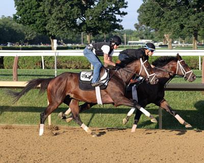 Fierceness, Saratoga, Susie Raisher