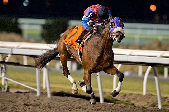 Fire and Wine, King's Plate, Canadian Triple Crown, Woodbine, horse racing, America's Best Racing, ABR Fire and Wine, King's Plate, Canadian Triple Crown, Woodbine, horse racing, America's Best Racing, ABR