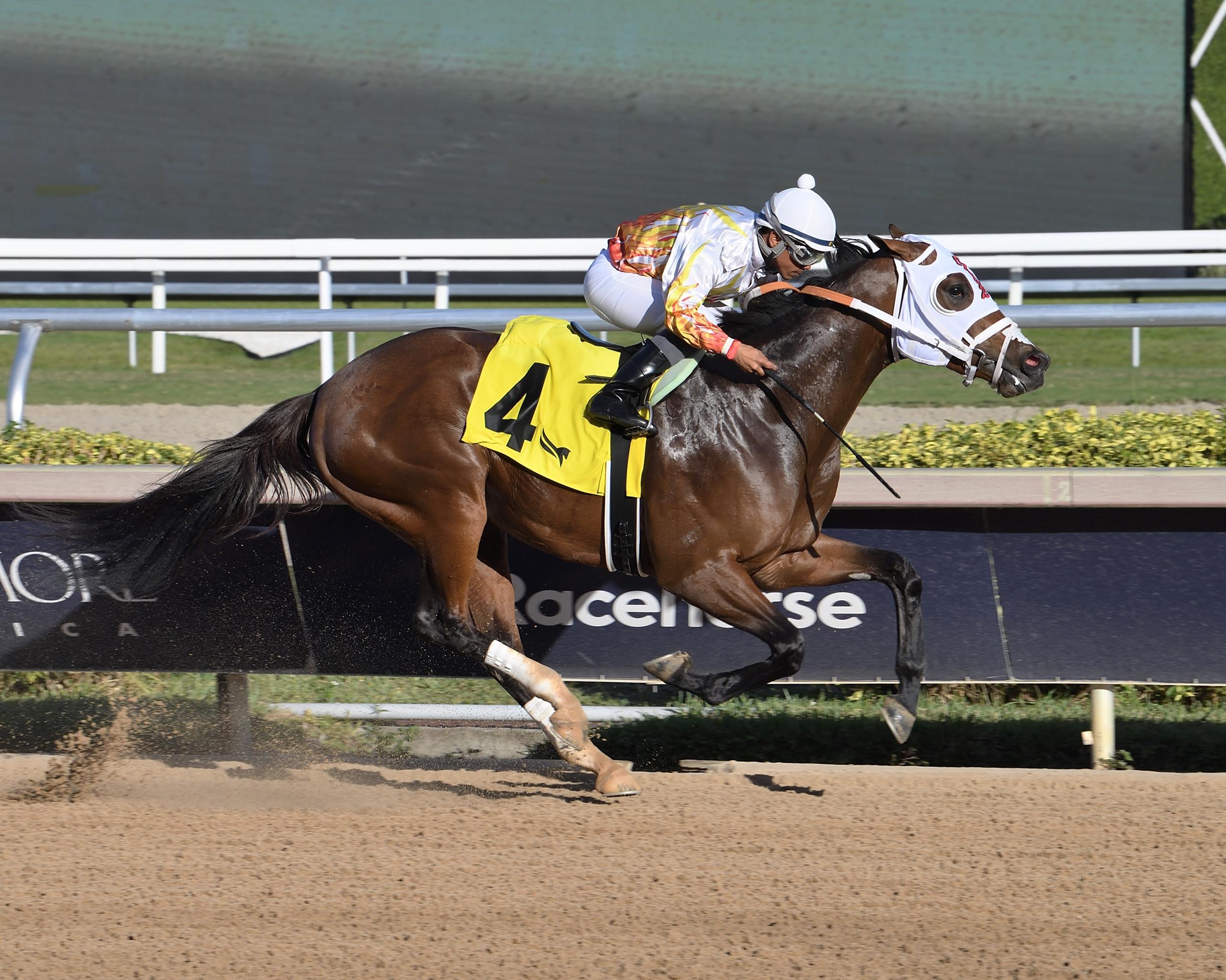Flood Zone, Gotham Stakes, Aqueduct, Kentucky Derby, Triple Crown, America's Best Racing, horse racing, ABR