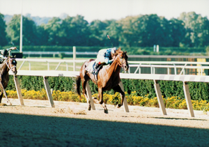 Fly So Free, Fountain of Youth Stakes, Gulfstream Park, ABR, America's Best Racing, Triple Crown, horse racing Fly So Free, Fountain of Youth Stakes, Gulfstream Park, ABR, America's Best Racing, Triple Crown, horse racing