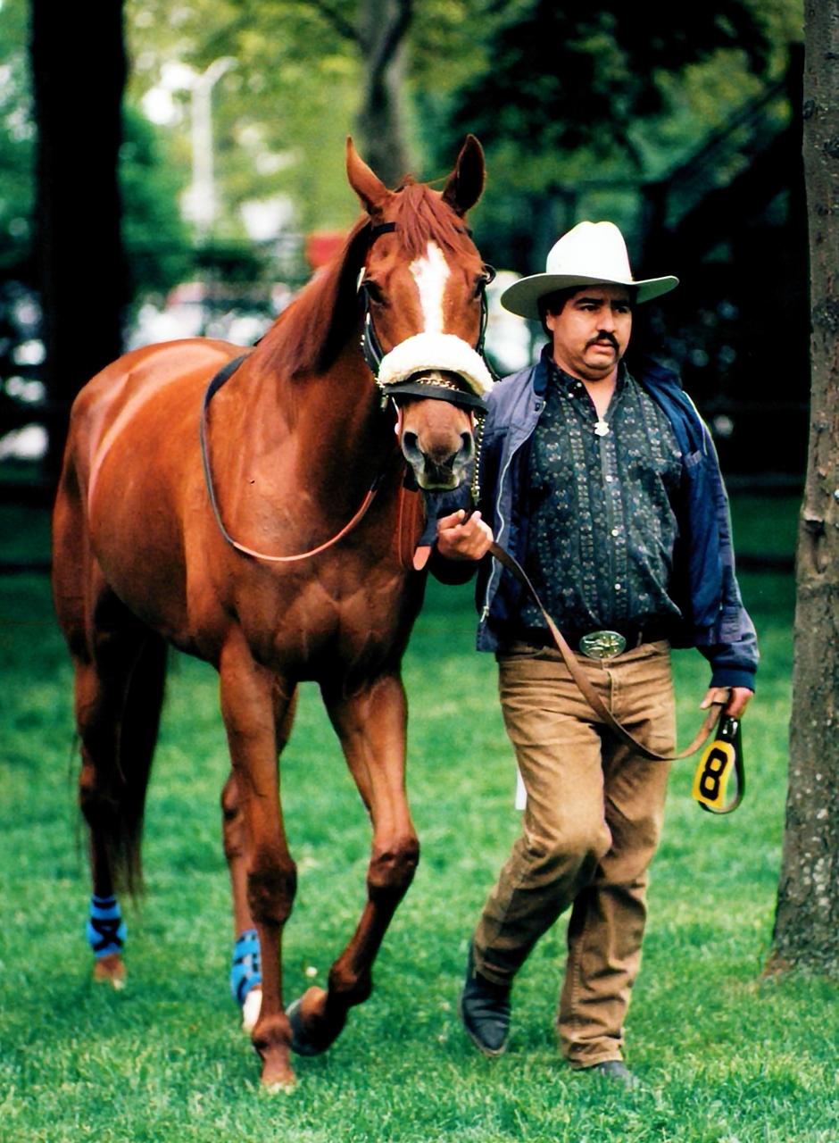 Fourstardave, Daryl’s Joy Stakes, Saratoga Race Course, Sultan of Saratoga, America's Best Racing, horse racing, ABR