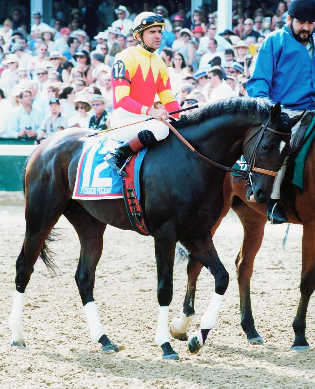 Fusaichi Pegasus, San Felipe Stakes, Kentucky Derby, America's Best Racing, ABR, horse racing
