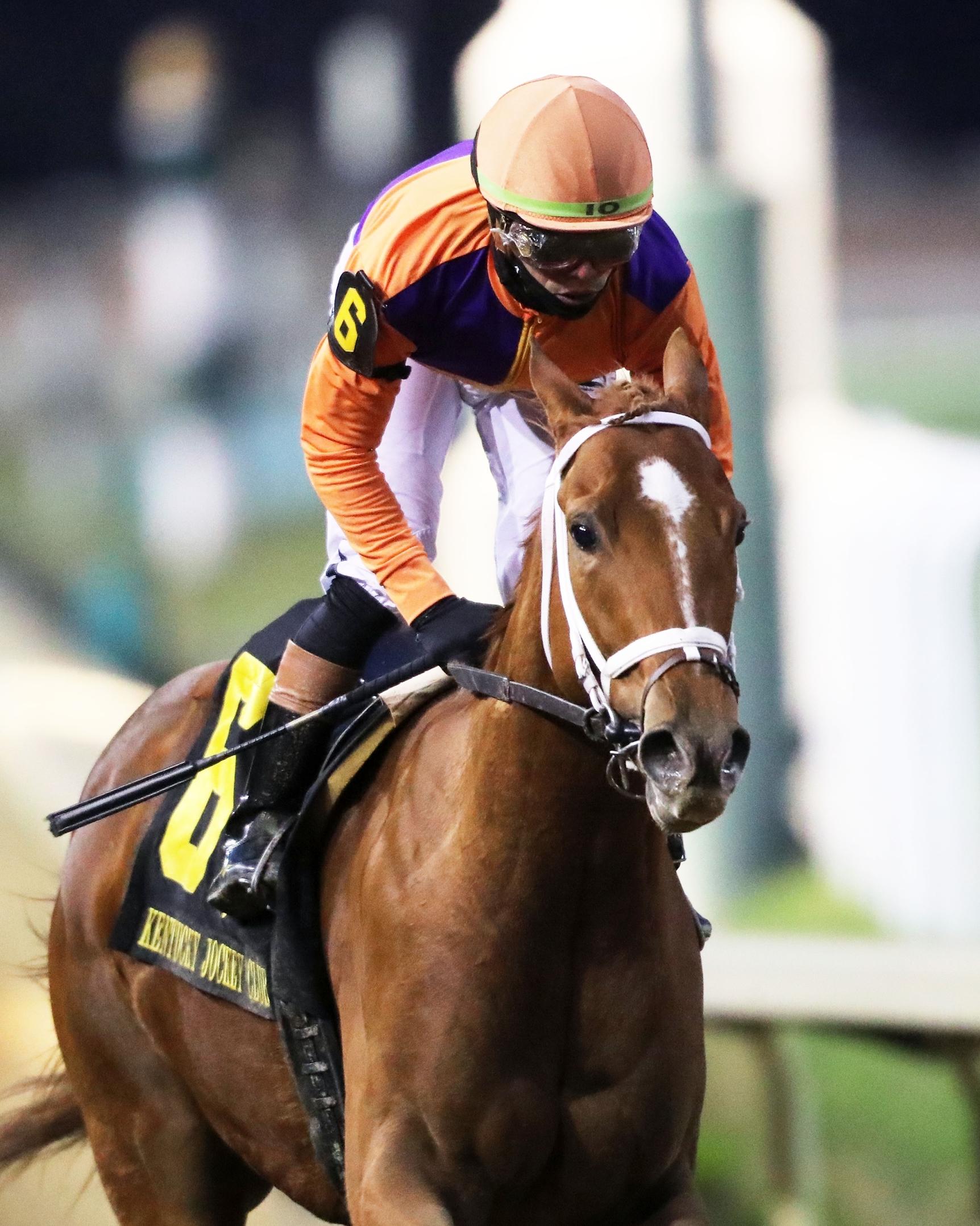 Further Ado, Tampa Bay Derby, Kentucky Derby, America's Best Racing, ABR, horse racing