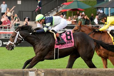 Gas Me Up, Woodbine, Woodbine Mile, America's Best Racing, horse racing, ABR