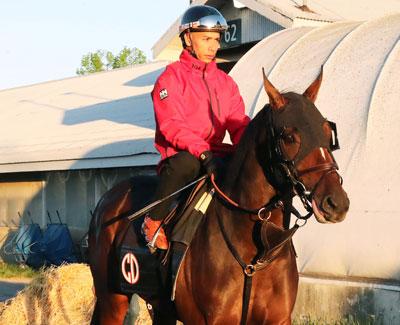 Golden Tempo, Cherie DeVaux, Triple Crown, Kentucky Derby, Churchill Downs, horse racing, America's Best Racing, ABR