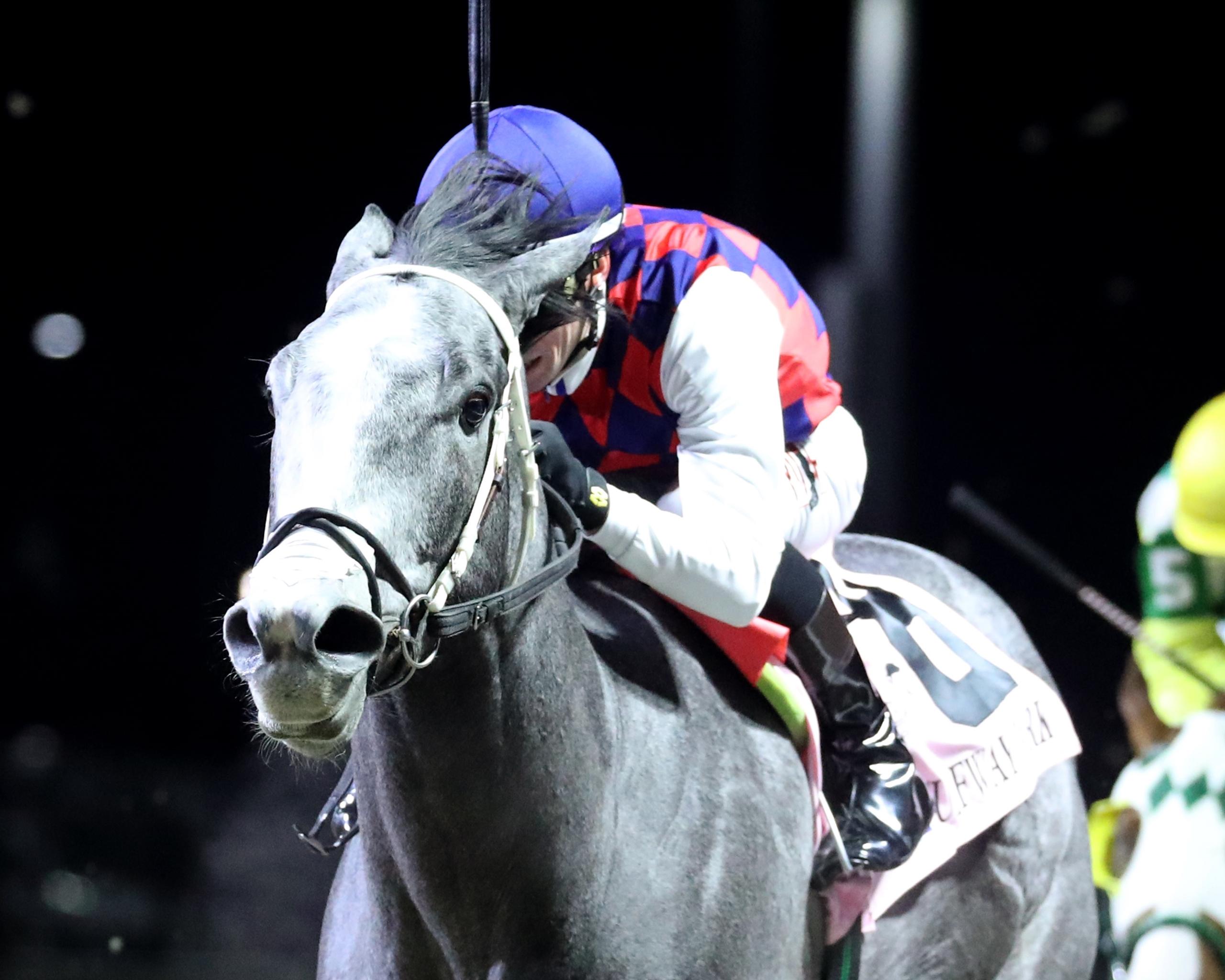 Great White, Toyota Blue Grass Stakes, Keeneland, America's Best Racing, Triple Crown, Kentucky Derby, horse racing, ABR