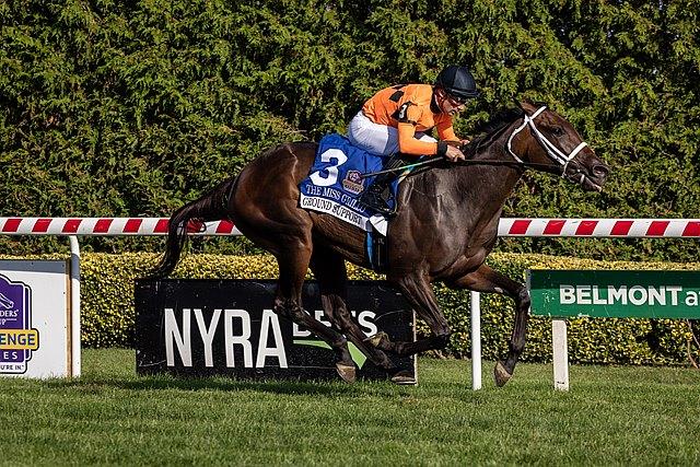 Ground Support, Miss Grillo Stakes, Tepin Stakes, Churchill Downs, horse racing, America's Best Racing, ABR