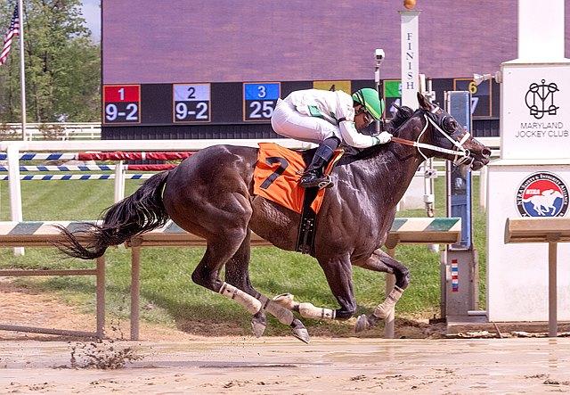 Haileysfirstnotion, De Francis Dash, Laurel Park, horse racing, America's Best Racing, ABR