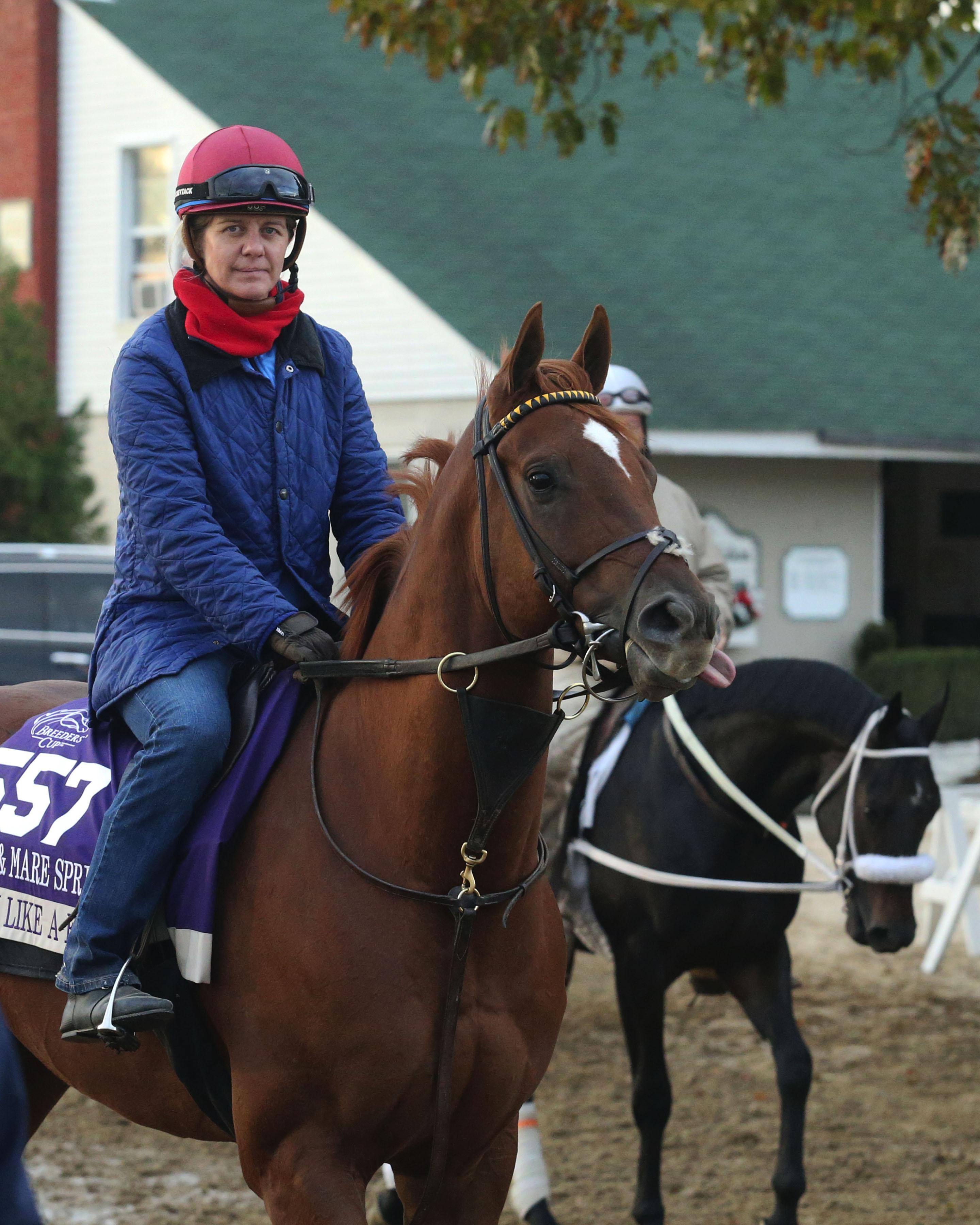 Lo Duca: My Card for The 2018 Breeders' Cup