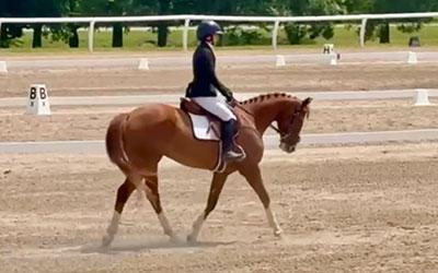 Thoroughbred Makeover, diary, Lindsay Gilbert, Gray Magician, Imposing Ruler, OTTB, aftercare, show, competition, ex-racehorse, hunter, jumper, ABR