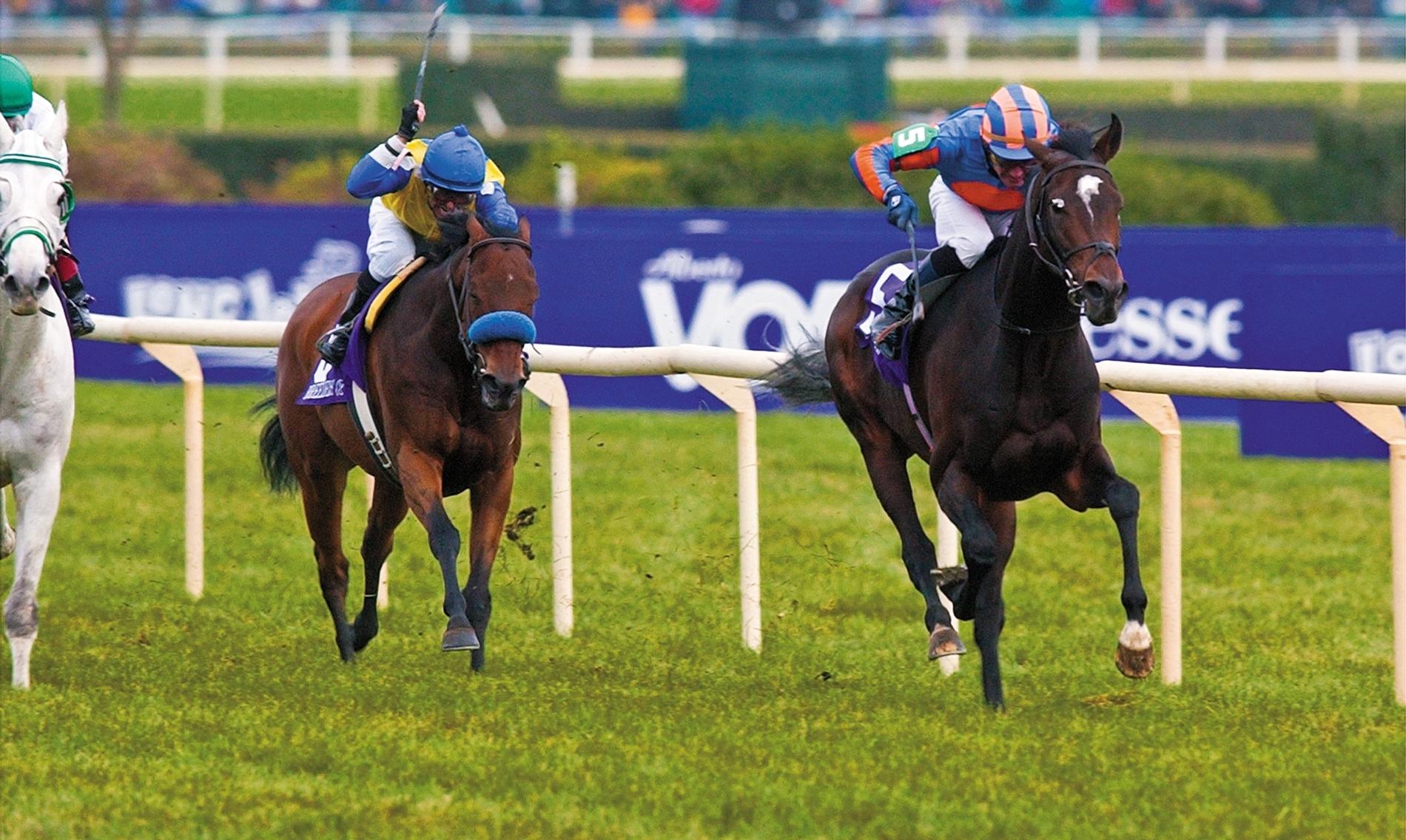 High Chaparral, Breeders' Cup Turf, Keeneland, horse racing, America's Best Racing, ABR High Chaparral, Breeders' Cup Turf, Keeneland, horse racing, America's Best Racing, ABR