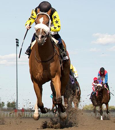 Highwaytothemoon, King's Plate, Canadian Triple Crown, Woodbine, horse racing, America's Best Racing, ABR Highwaytothemoon, King's Plate, Canadian Triple Crown, Woodbine, horse racing, America's Best Racing, ABR