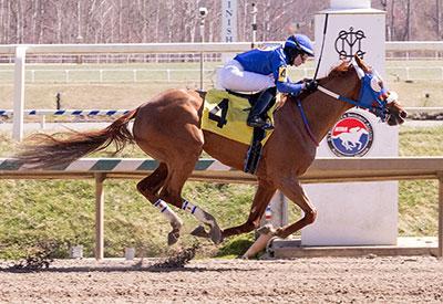 Hittheroadjak, Laurel Park, Maryland Million Classic, Jim McKay, America's Best Racing, horse racing, ABR