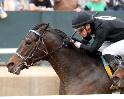 Honey's to Blame, Rebel Stakes, Oaklawn Park, ABR, America's Best Racing, Triple Crown, horse racing