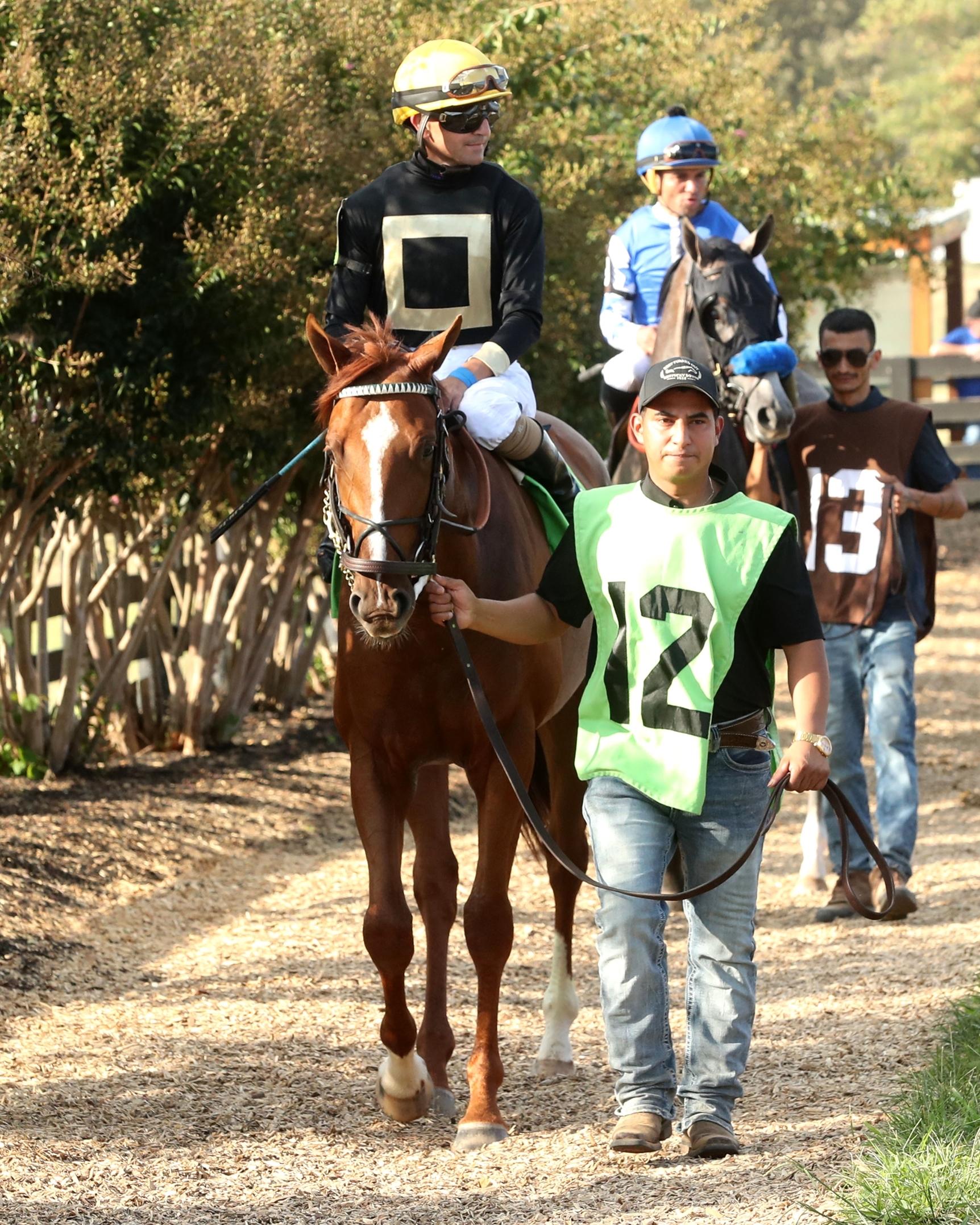 How's Al Today, Riley Mott, Al Gold, Gold Square, Breeders' Cup Juvenile Turf, Keeneland, horse racing, America's Best Racing, ABR How's Al Today, Riley Mott, Al Gold, Gold Square, Breeders' Cup Juvenile Turf, Keeneland, horse racing, America's Best Racing, ABR