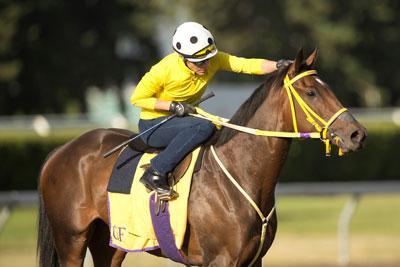 Hunt Master, Woodbine, Woodbine Mile, America's Best Racing, horse racing, ABR