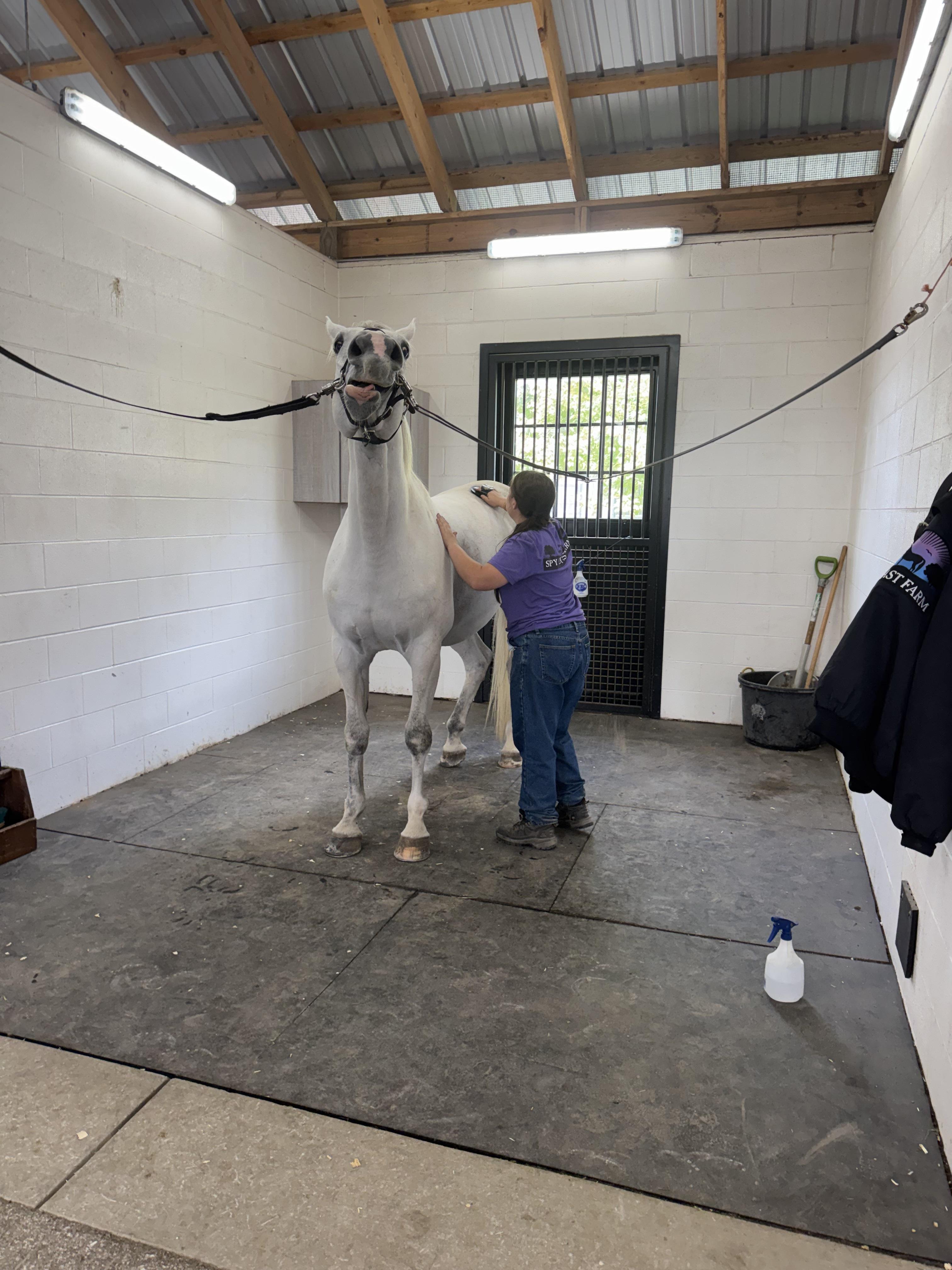 Stable Recovery, Spy Coast Farm, women's program, Lisa Lourie, Modesty Burleson, Christian Countzler, Frank Taylor, Katie Silvers, America's Best Racing, horse racing, ABR Stable Recovery, Spy Coast Farm, women's program, Lisa Lourie, Modesty Burleson, Christian Countzler, Frank Taylor, Katie Silvers, America's Best Racing, horse racing, ABR