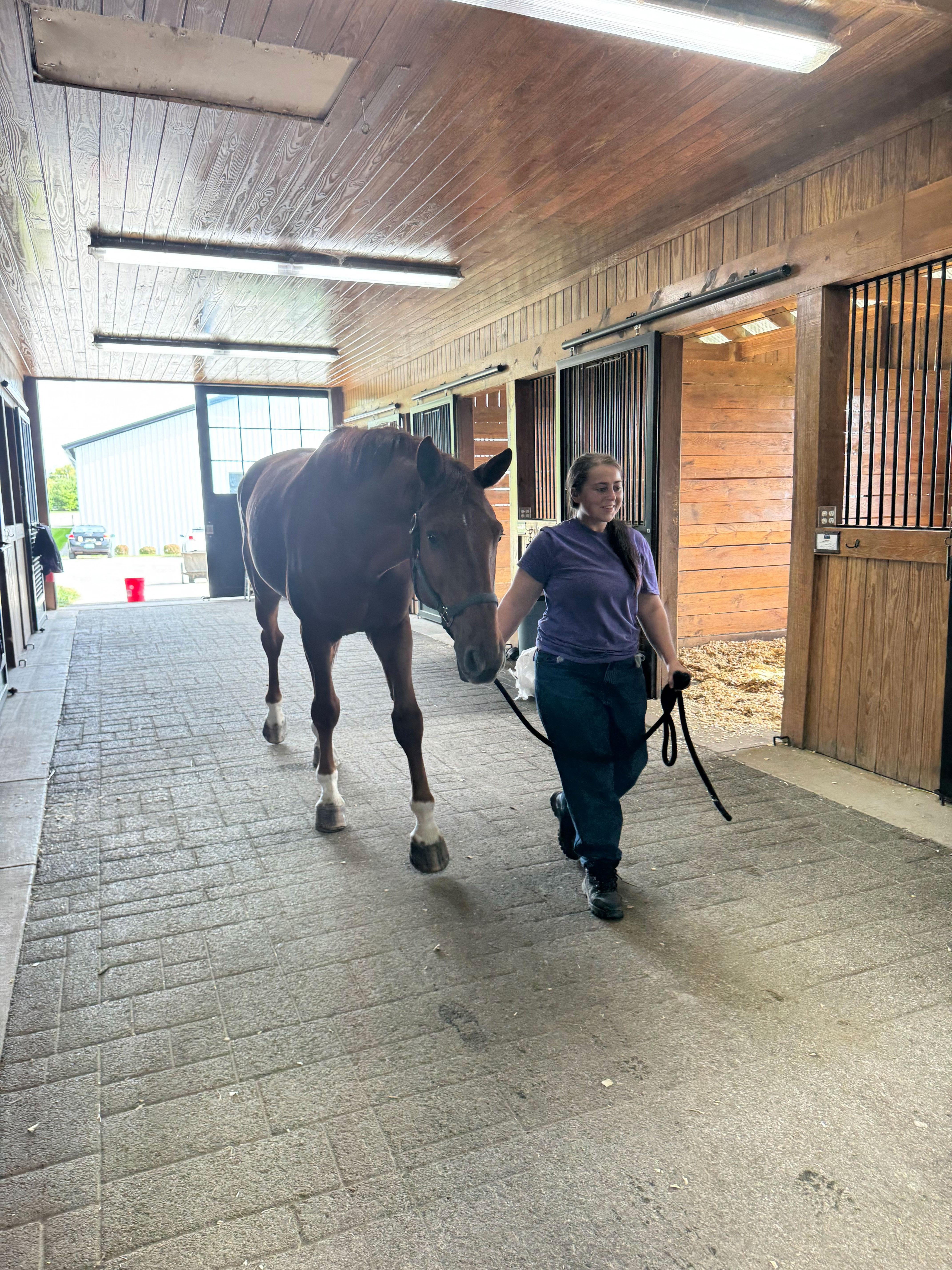 Stable Recovery, Spy Coast Farm, women's program, Lisa Lourie, Modesty Burleson, Christian Countzler, Frank Taylor, Katie Silvers, America's Best Racing, horse racing, ABR Stable Recovery, Spy Coast Farm, women's program, Lisa Lourie, Modesty Burleson, Christian Countzler, Frank Taylor, Katie Silvers, America's Best Racing, horse racing, ABR