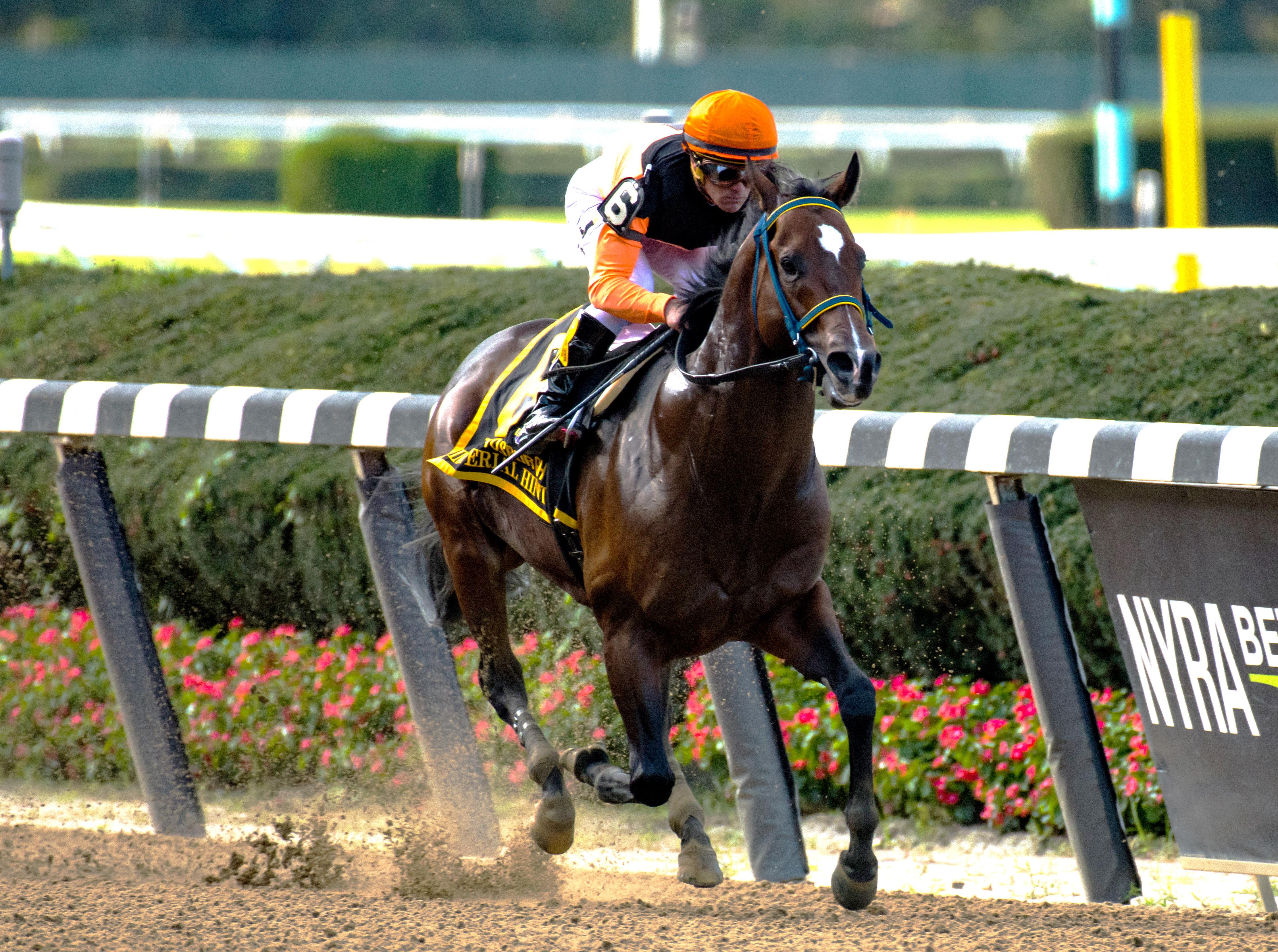 Imperial Hint wins the Vosburgh Stakes.