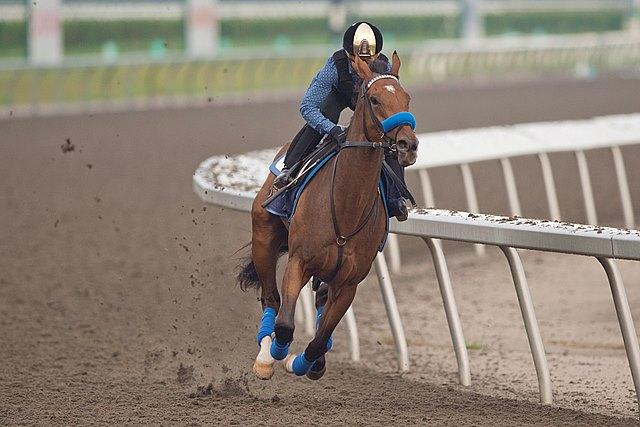 Imyourmedicineman, King's Plate, Canadian Triple Crown, Woodbine, horse racing, America's Best Racing, ABR Imyourmedicineman, King's Plate, Canadian Triple Crown, Woodbine, horse racing, America's Best Racing, ABR