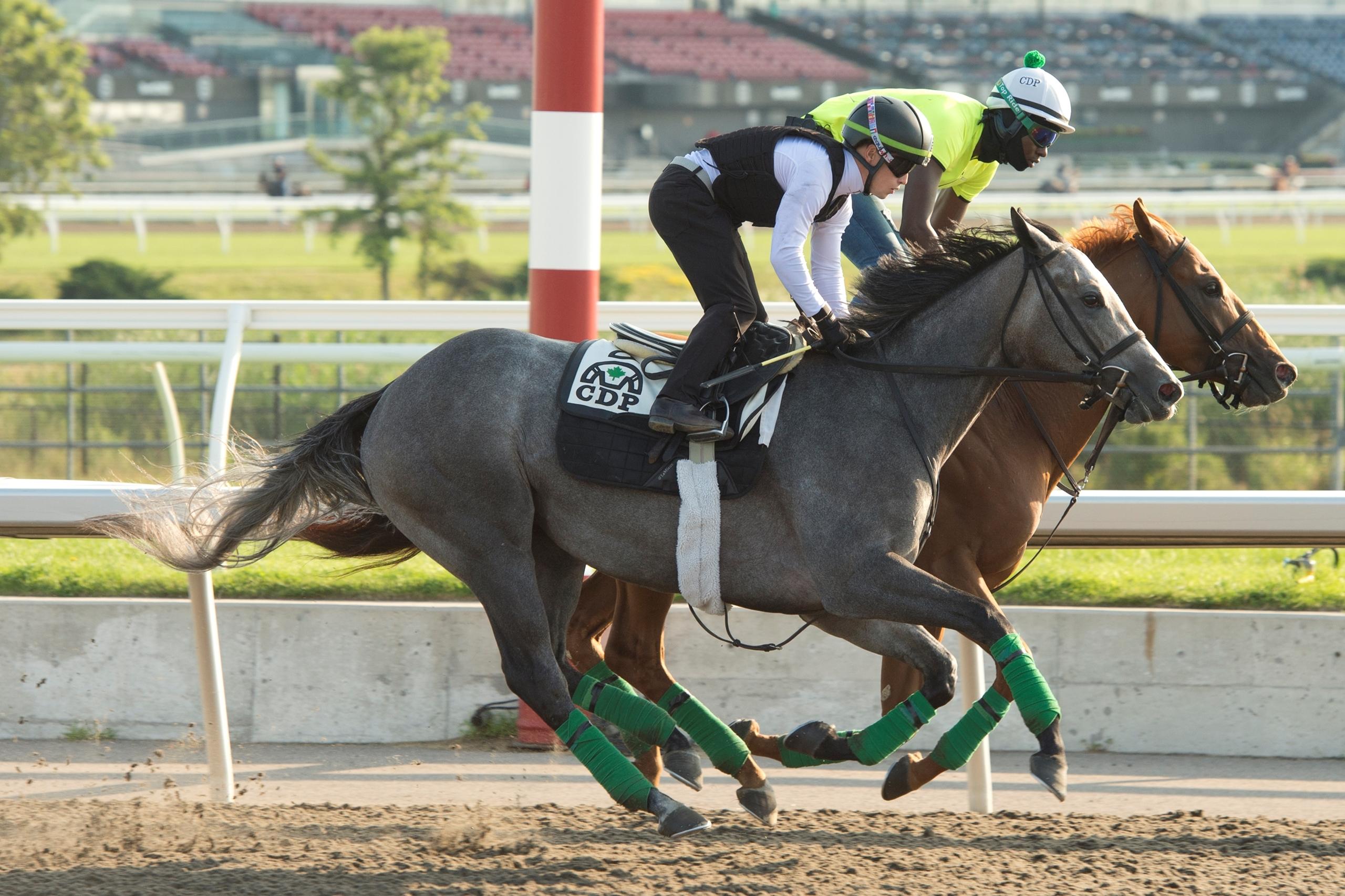Innisfree Isle, Woodbine Oaks, America's Best Racing, horse racing, ABR
