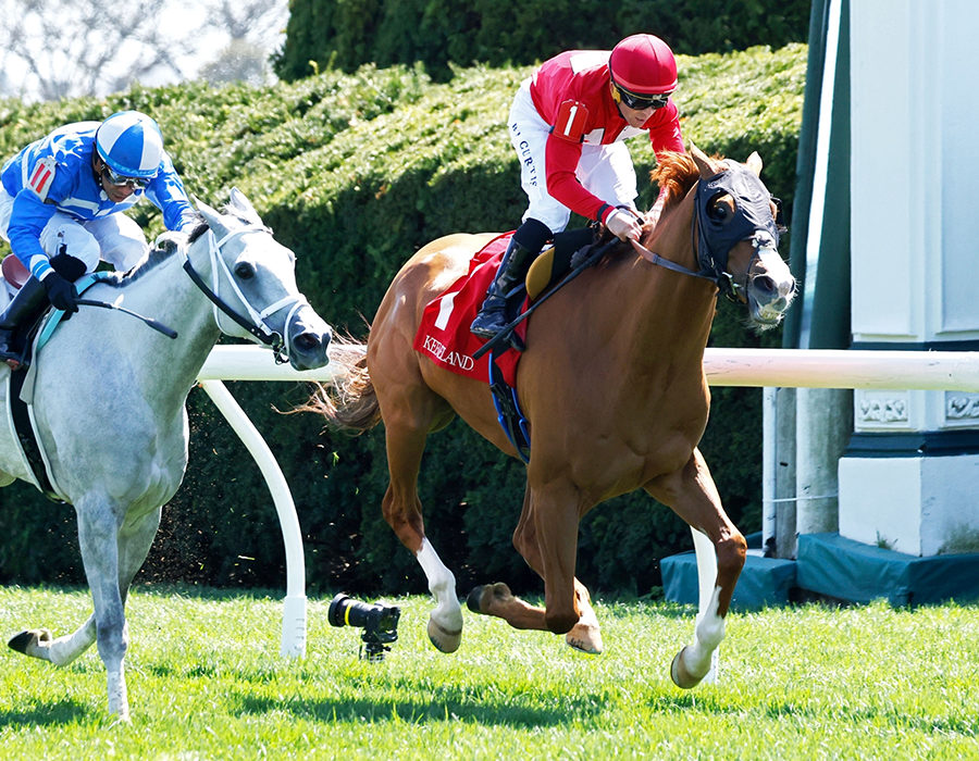 Irish Aces, Turf Champions Day, Woodbine Mile, Woodbine, horse racing, America's Best Racing, ABR Irish Aces, Turf Champions Day, Woodbine Mile, Woodbine, horse racing, America's Best Racing, ABR