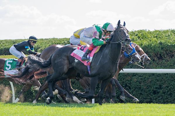 Khaadem, Woodford Stakes, Keeneland, America's Best Racing, horse racing, ABR